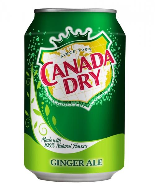 Canada Dry Ginger Ale (24 x 0,33 Liter blik PL) Kopen