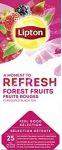 Lipton Refresh Forest Fruits (6 x 25 theezakjes) Kopen