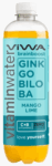 Viwa Brainboost Ginkgo Biloba Mango Lime Vitaminewater (12 x 0,6 Liter PET fles DE) Kopen