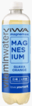 Viwa Magnemax Magnesium Guava Orange Vitaminwater (12 x 0,6 Liter PET-Flaschen DE) Kopen