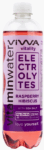 Viwa Vitality Electrolytes Raspberry Hisbiscus Vitaminwater (12 x 0,6 Liter PET-Flaschen DE) Kopen